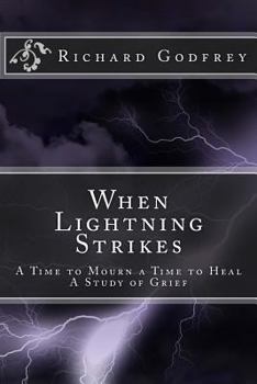 Paperback When Lightning Strikes: A Time to Mourn a Time to Heal Book