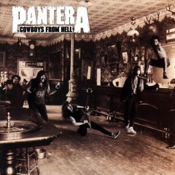 Vinyl Cowboys from Hell Book