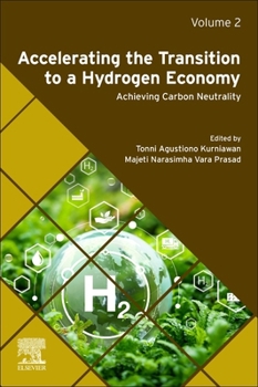 Paperback Accelerating the Transition to a Hydrogen Economy: Achieving Carbon Neutrality Volume 2 Book