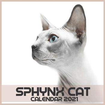 Sphynx Cat Calendar 2021: Sphynx Cat Calendar 2021 with Official Holidays, Very Beautiful calendar gift for Sphynx's