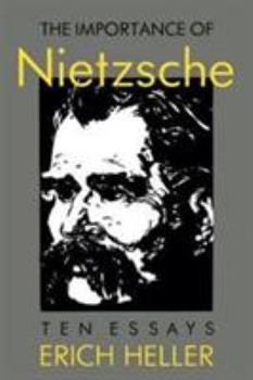 Paperback The Importance of Nietzsche Book