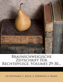 Paperback Braunschweigische Zeitschrift Fur Rechtspflege, Neunundzwanzigster Jahrgang [German] Book