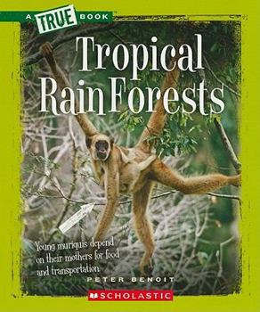 Paperback Tropical Rain Forests Book