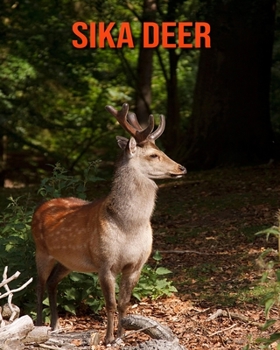 Paperback Sika Deer: Amazing Facts about Sika Deer Book