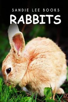 Paperback Rabbits - Sandie Lee Books Book