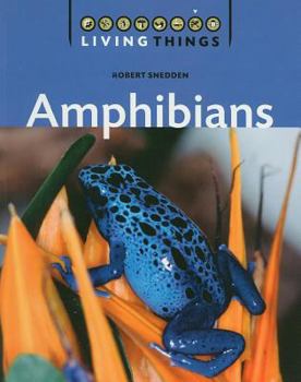 Paperback Amphibians Book