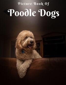 Paperback Picture of Poodle Dogs Book