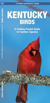 Paperback Kentucky Birds Book