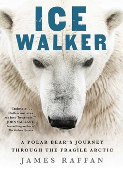 Hardcover Ice Walker: A Polar Bear's Journey Through the Fragile Arctic Book