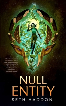 Paperback Null Entity Book