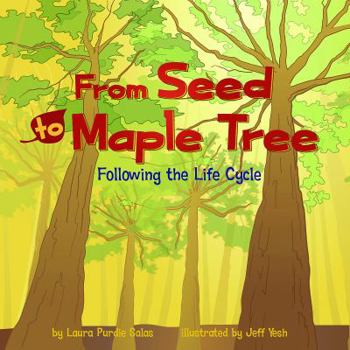 Hardcover From Seed to Maple Tree: Following the Life Cycle Book