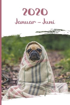 Kalender 2020: Mops Hunde Tageskalender 1. Halbjahr Januar Juni ca DIN A5 weiß über 190 Seiten (German Edition)
