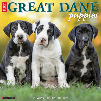 Calendar Just Great Dane Puppies 2024 12 X 12 Wall Calendar Book