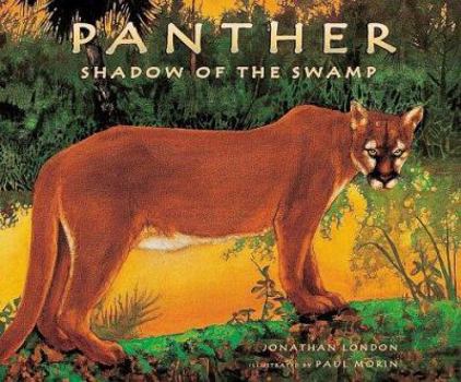 Hardcover Panther: Shadow of the Swamp Book