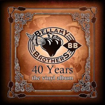 Vinyl 40 Years: The Vinyl Album (Vinyl) Book