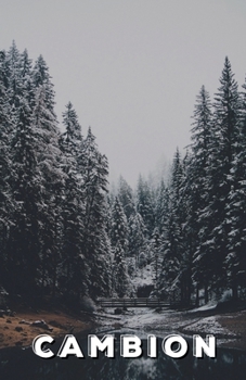 Paperback Cambion Book