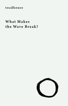 Paperback What Makes the Wave Break? Book