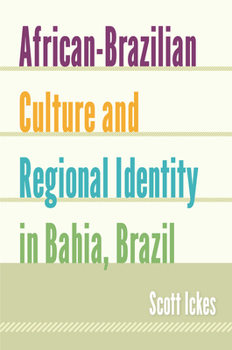 Paperback African-Brazilian Culture and Regional Identity in Bahia, Brazil Book