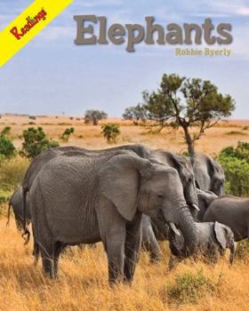 Paperback Elephants (Animals of Africa) Book