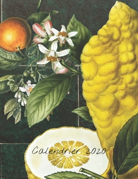Calendrier 2020: Calendrier mensuel 2020 illustré de fruit avec une grande image et des dates de calendrier, des espaces pour enregistrer les revenus, ... les notes (couverture verte)