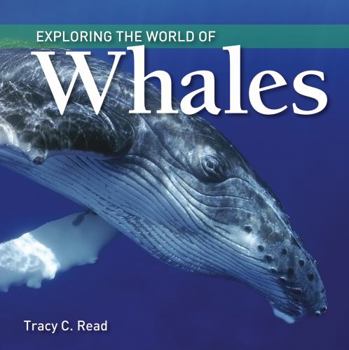 Hardcover Exploring the World of Whales Book