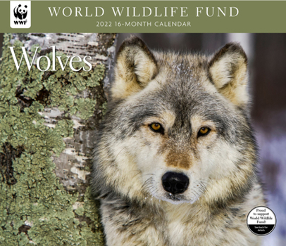 Calendar Wolves WWF 2022 Wall Calendar Book