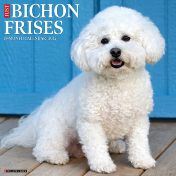 Calendar Just Bichons Frises 2025 12 X 12 Wall Calendar Book