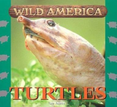 Hardcover Turtles Book