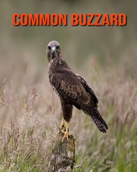 Paperback Common Buzzard: Amazing Facts about Common Buzzard Book