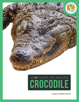 Paperback Crocodile Book