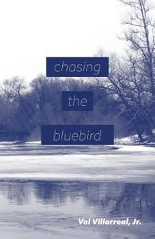 Paperback Chasing the Bluebird Book