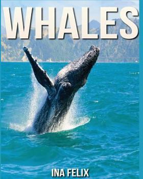 Paperback Whales: Children Book of Fun Facts & Amazing Photos on Animals in Nature - A Wonderful Whales Book for Kids aged 3-7 Book
