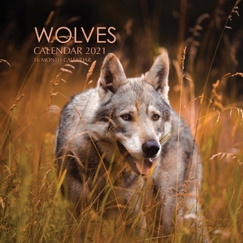 Paperback Wolves Calendar 2021: 16 Month Calendar Book