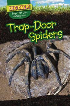 Paperback Trap-Door Spiders Book