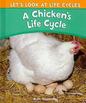 Library Binding A Chicken's Life Cycle Book