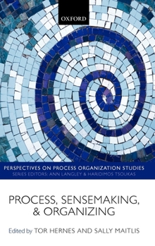 Hardcover Process, Sensemaking, and Organizing Book