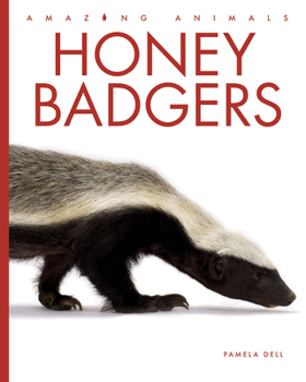 Honey Badgers (Amazing Animals)