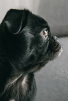 Pug Planner: 2020 diary: Increase productivity, improve time management, reach your goals: Pug in profile: Modern artistic photography style cover