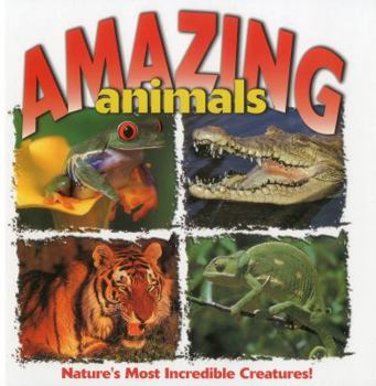 Hardcover Amazing Animals Book