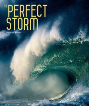 Hardcover The Perfect Storm Book