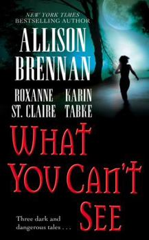What You Can't See - Book #3.5 of the Bullet Catcher