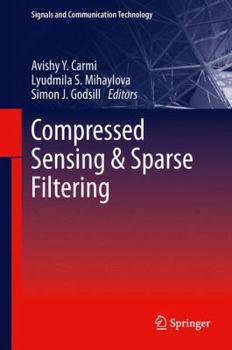 Hardcover Compressed Sensing & Sparse Filtering Book