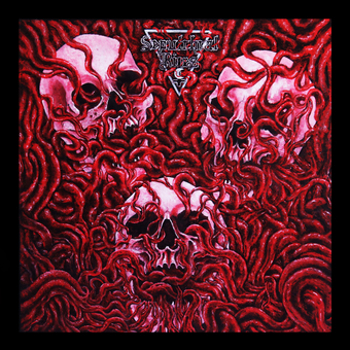 Vinyl Death And Bloody Ritual Book