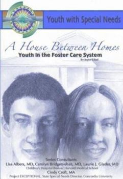Library Binding A House Between Homes: Youth in the Foster Care System Book