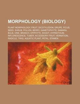 Morphology (Biology): Plant Morphology, Fruit, Dicotyledon, Drupe, Ficus, Seed, Shrub, Pollen, Berry, Gametophyte, Samara, Bulb, Vine, Branch
