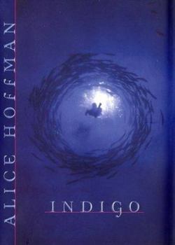 Hardcover Indigo Book