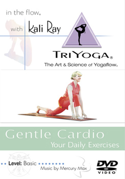 DVD Kali Ray: Gentle Cardio Book