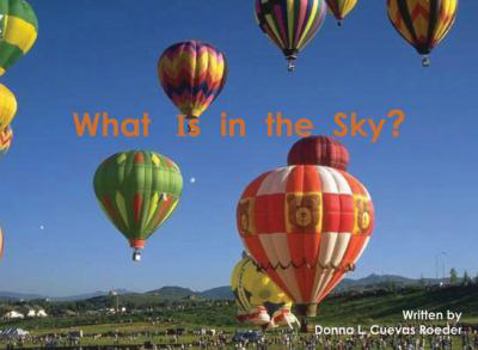 Paperback What Is in the Sky? Book