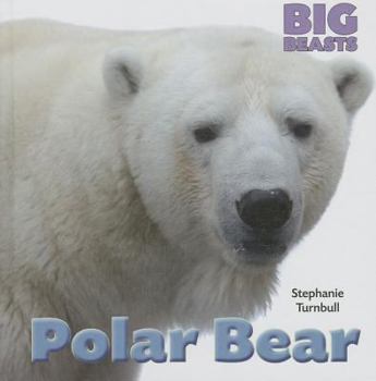 Polar Bear (Big Beasts - Book  of the Big Beasts