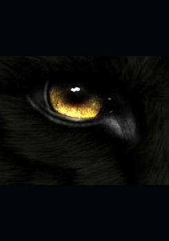 Resolutions - Book #7 of the Wolf